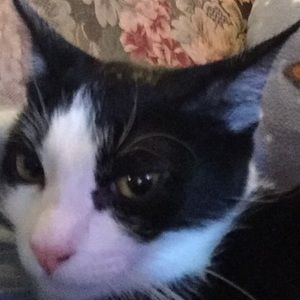 Meet your Posher, Mary